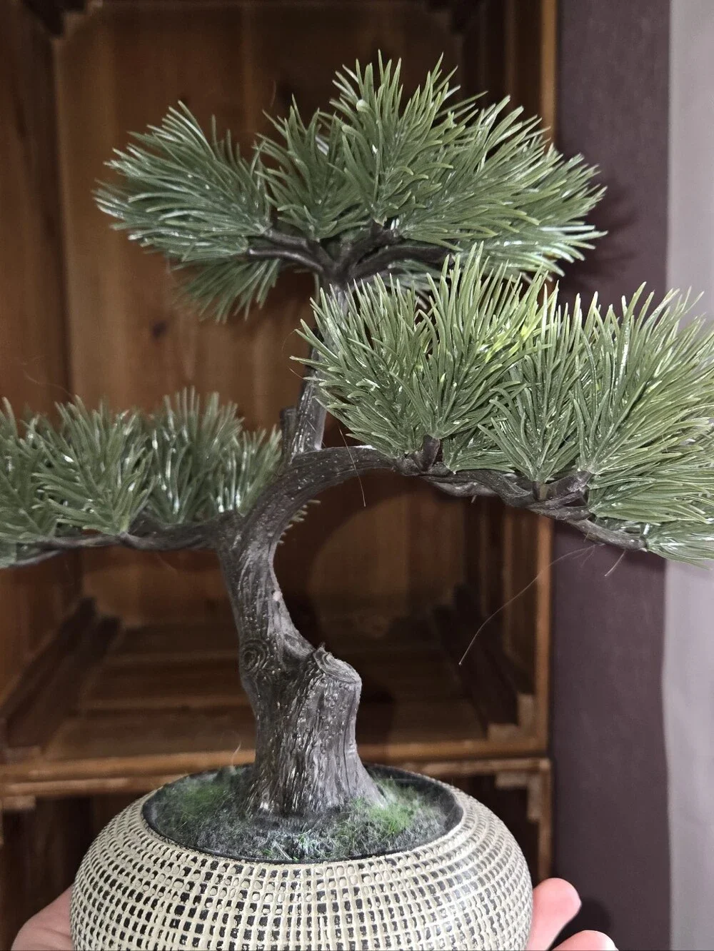 Mini Artificial Bonsai Tree in Textured Ceramic Pot - Green